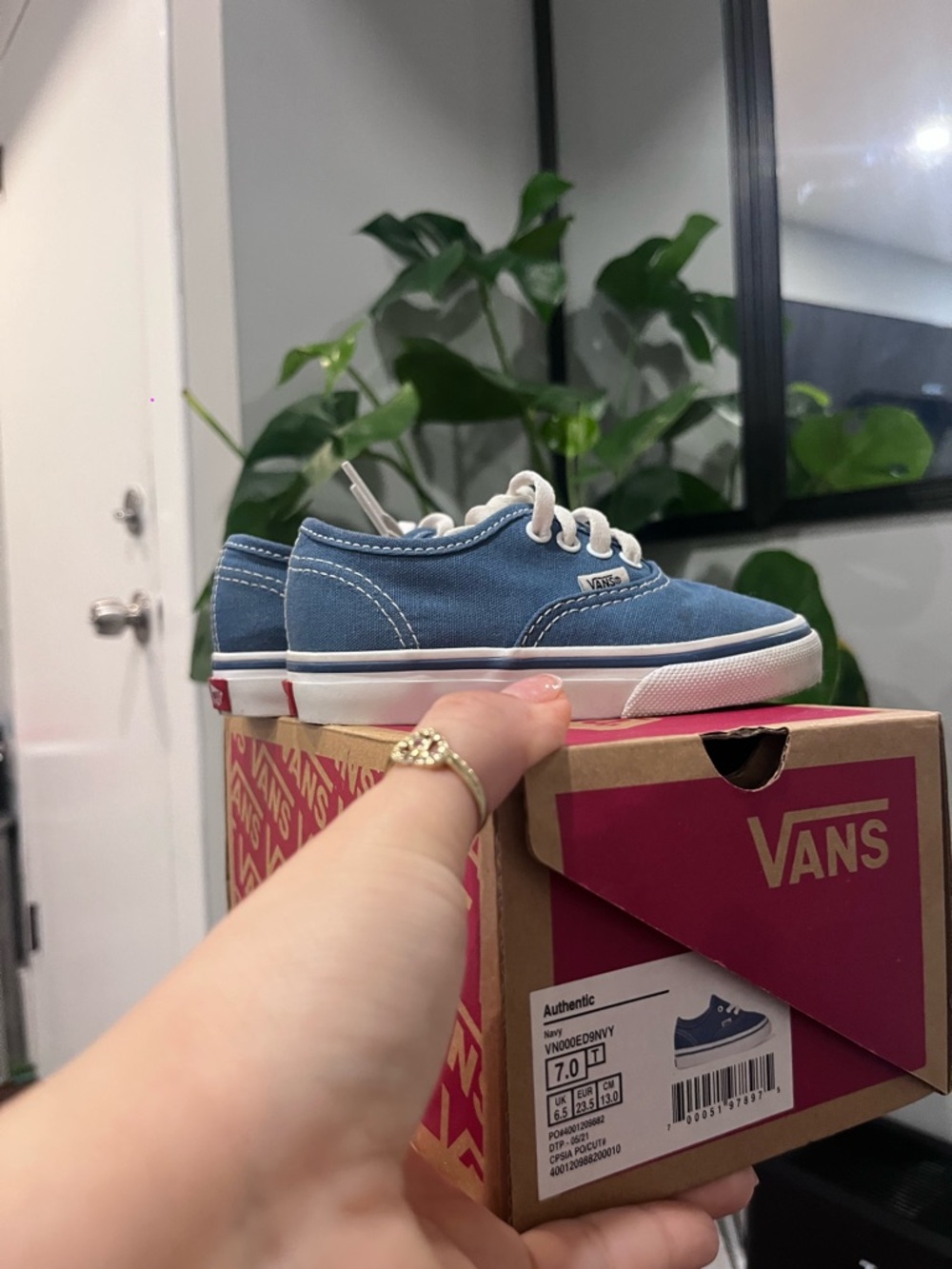 Vans Authentic Low Top Sneakers in Light Blue Canvas